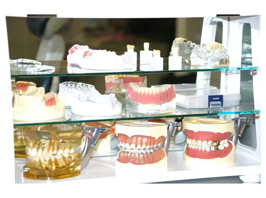 各種模型によりわかりやすい説明