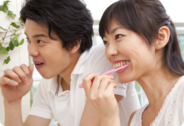 痛くなる前に守る歯の健康