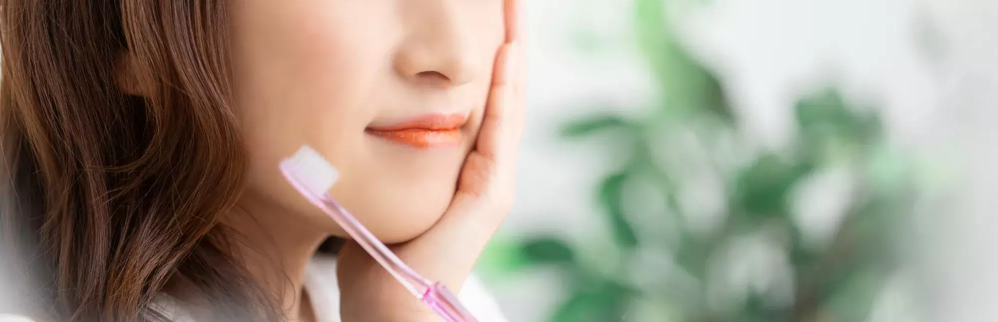 むし歯や歯周病など、お口の基本的なトラブルに対する診療が行われています