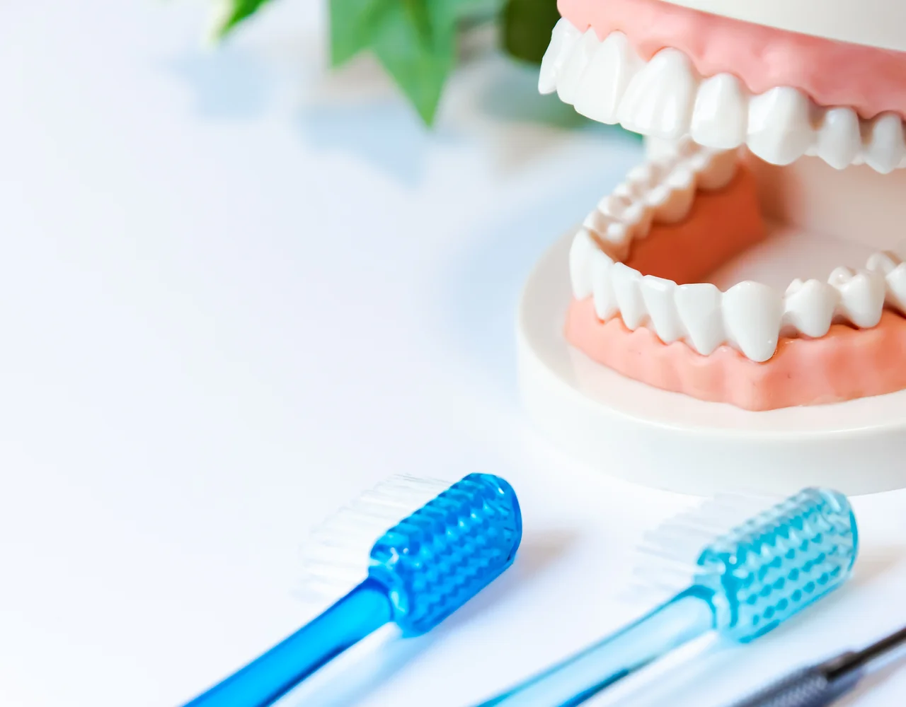 口腔内の衛生環境を整え、虫歯や歯周病のリスクを最小限に抑えます