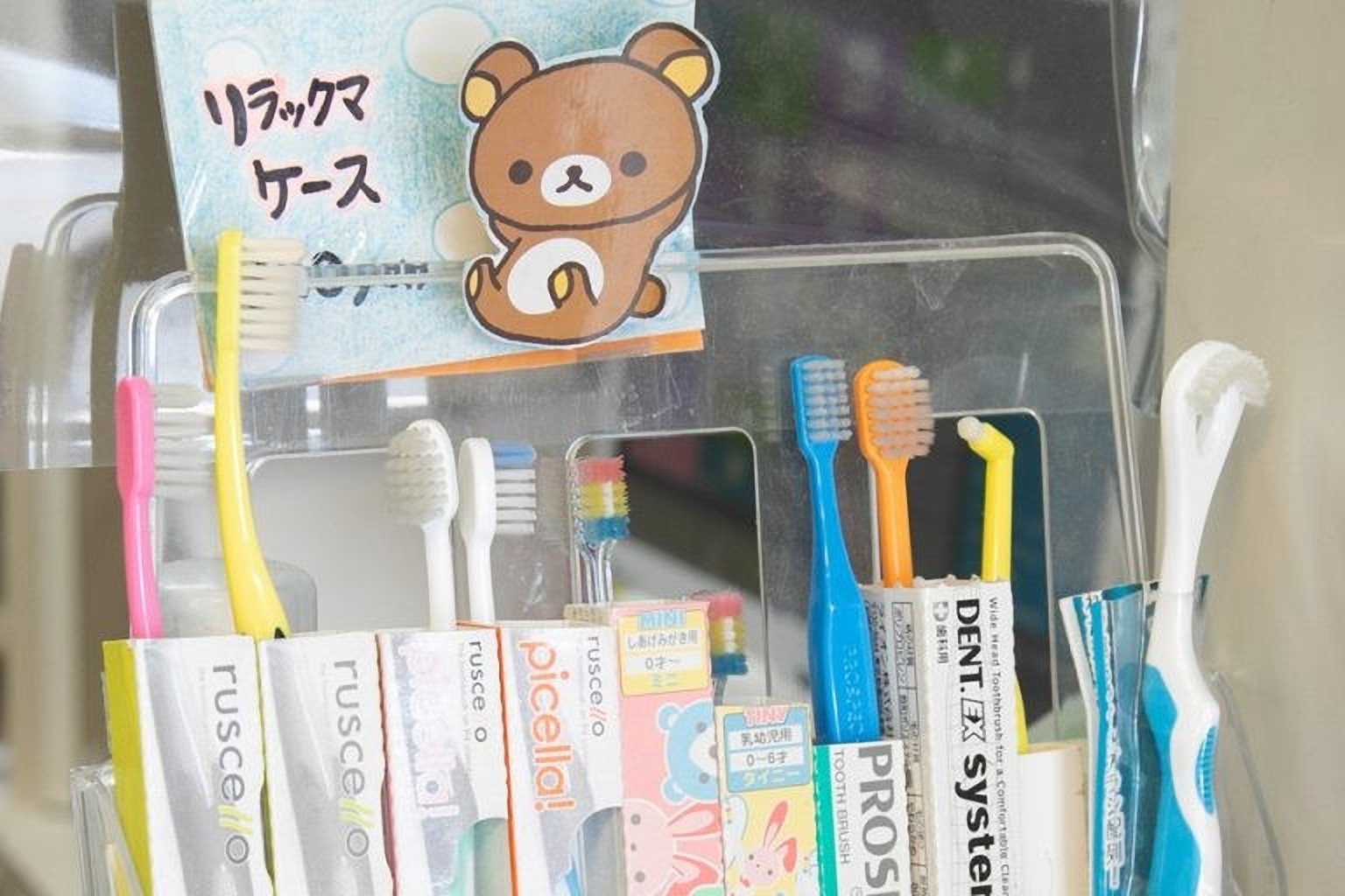 治療や口腔ケアなどを行います