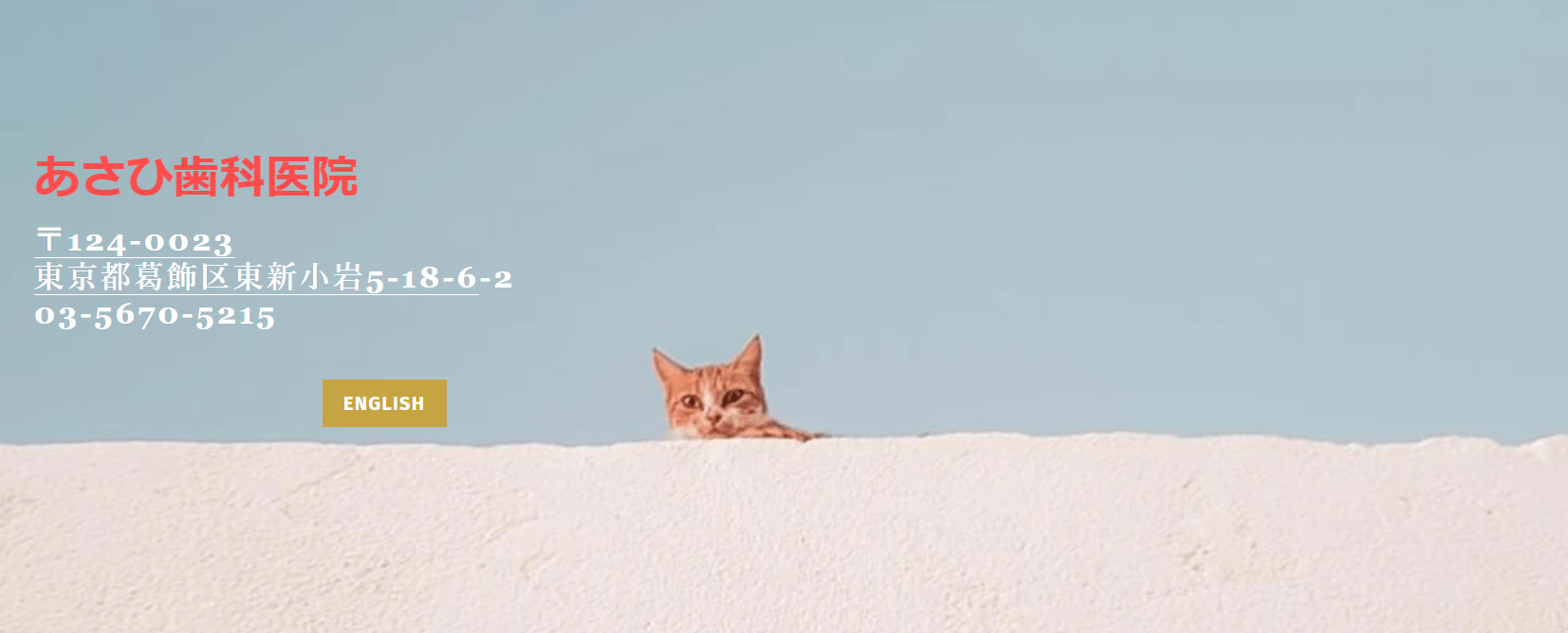 【訪問歯科も対応】患者様の希望を尊重するあさひ歯科