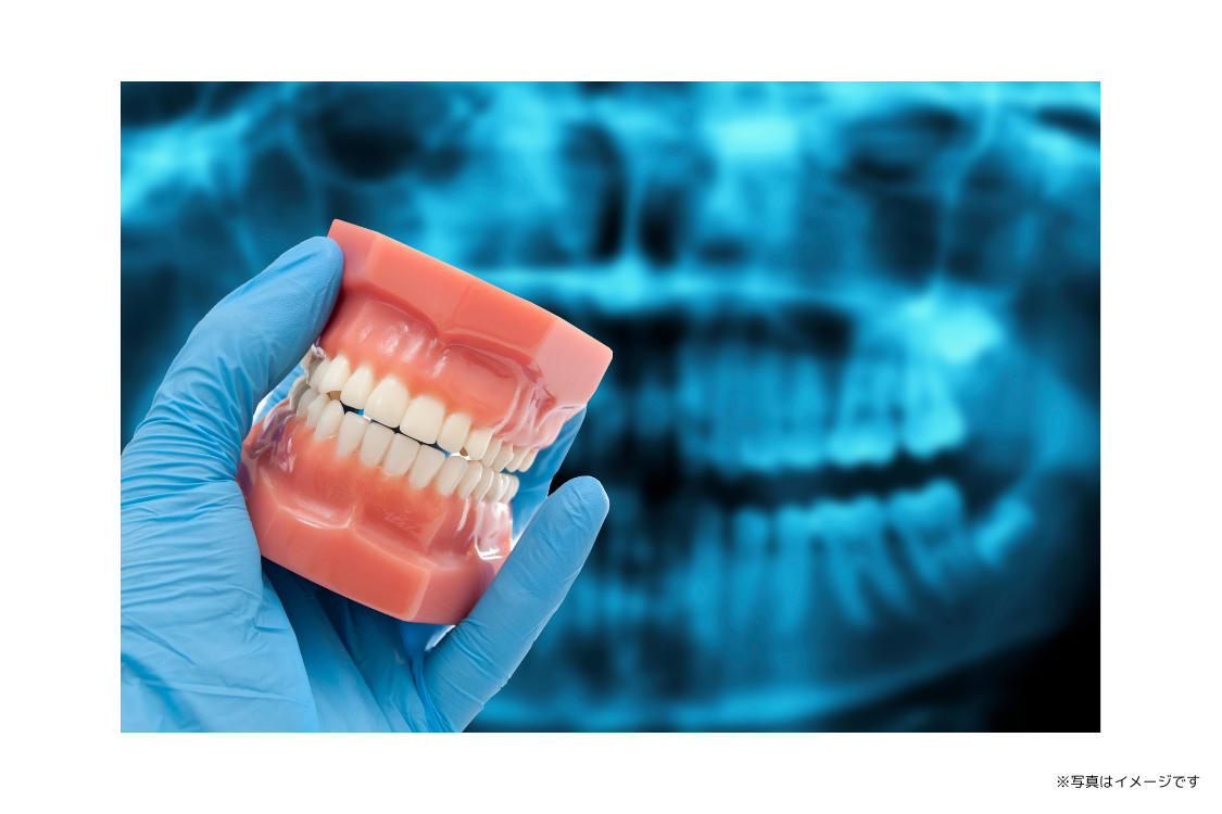 咀嚼機能の改善だけでなく、全身の健康を見据えたかみ合わせ治療が丁寧に提供されています