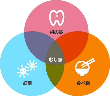 定期検診をおすすめします。