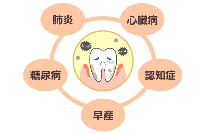 ※画像はイメージです。