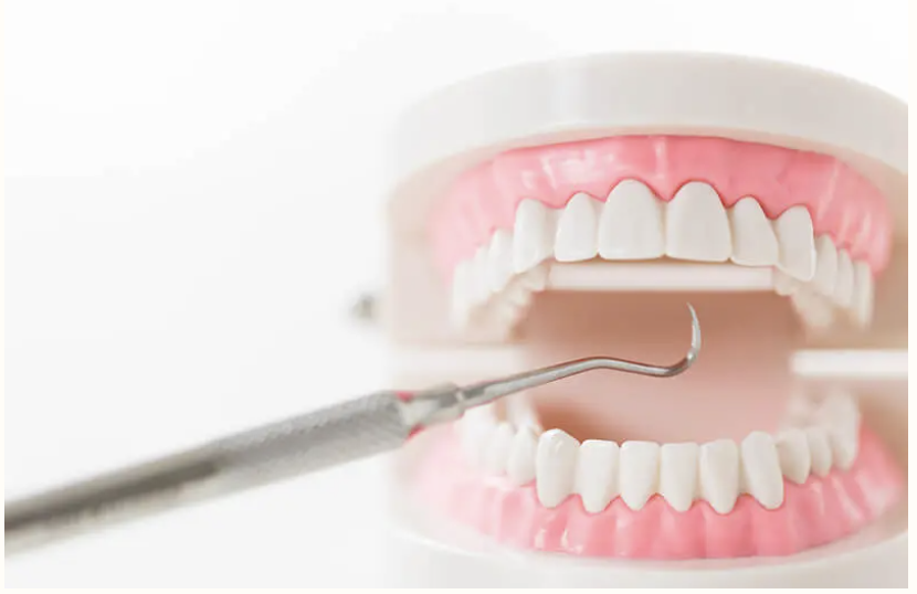 歯を長く守るために、早めの受診と定期的なチェックをおすすめします