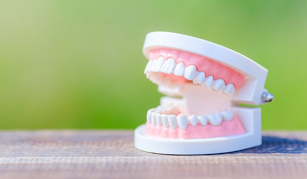 患者様一人ひとりに寄り添い、機能性と快適性を兼ね備えた入れ歯治療を提供しています。