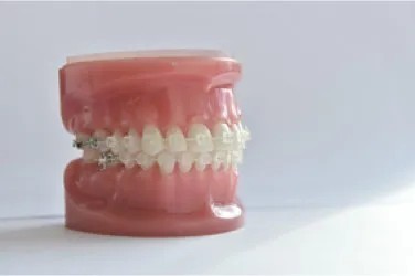 口腔全体の機能と審美性を高いレベルで両立することを目指しています