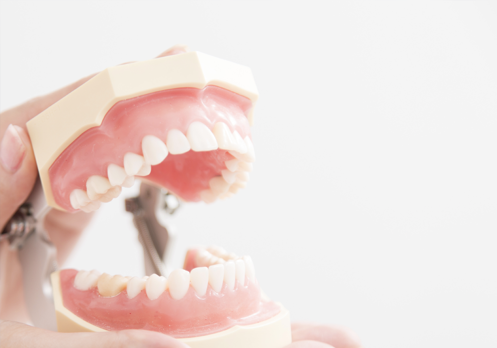 お子様から大人まで、みんなが笑顔で通える診療室