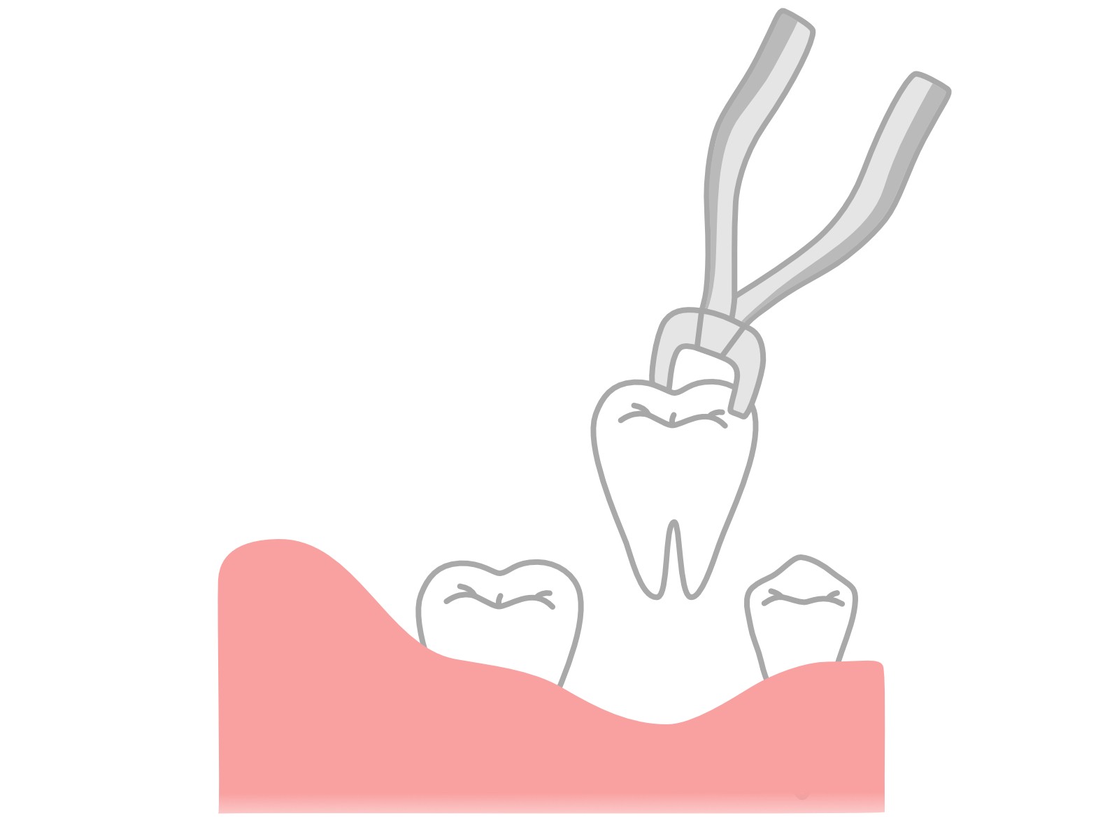 写真はイメージです