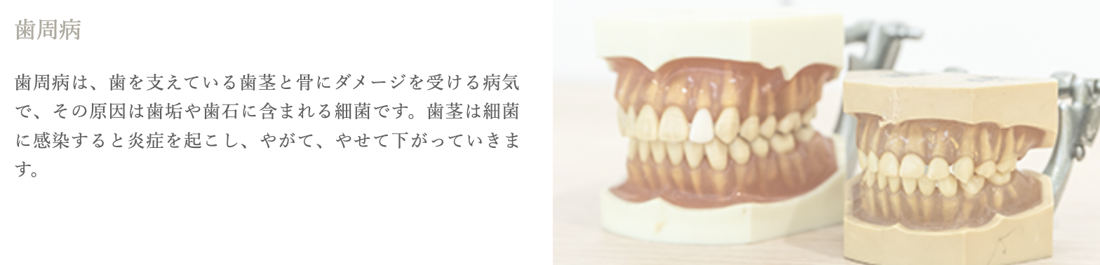 歯周病予防に向けたクリーニングも実施しています