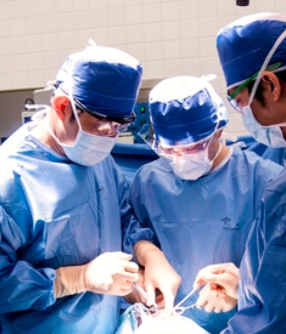 口腔外科手術の様子