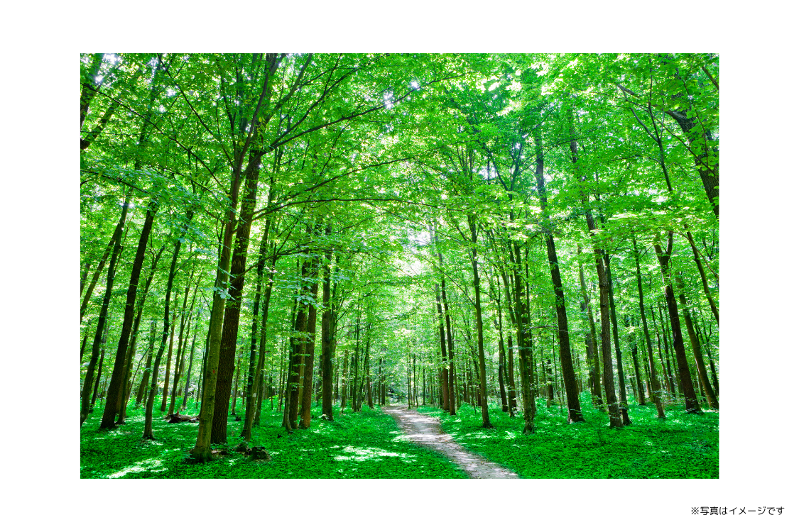 矯正治療を通じて、患者様の「将来」や「未来」に自信を持っていただくことを大切にしています。