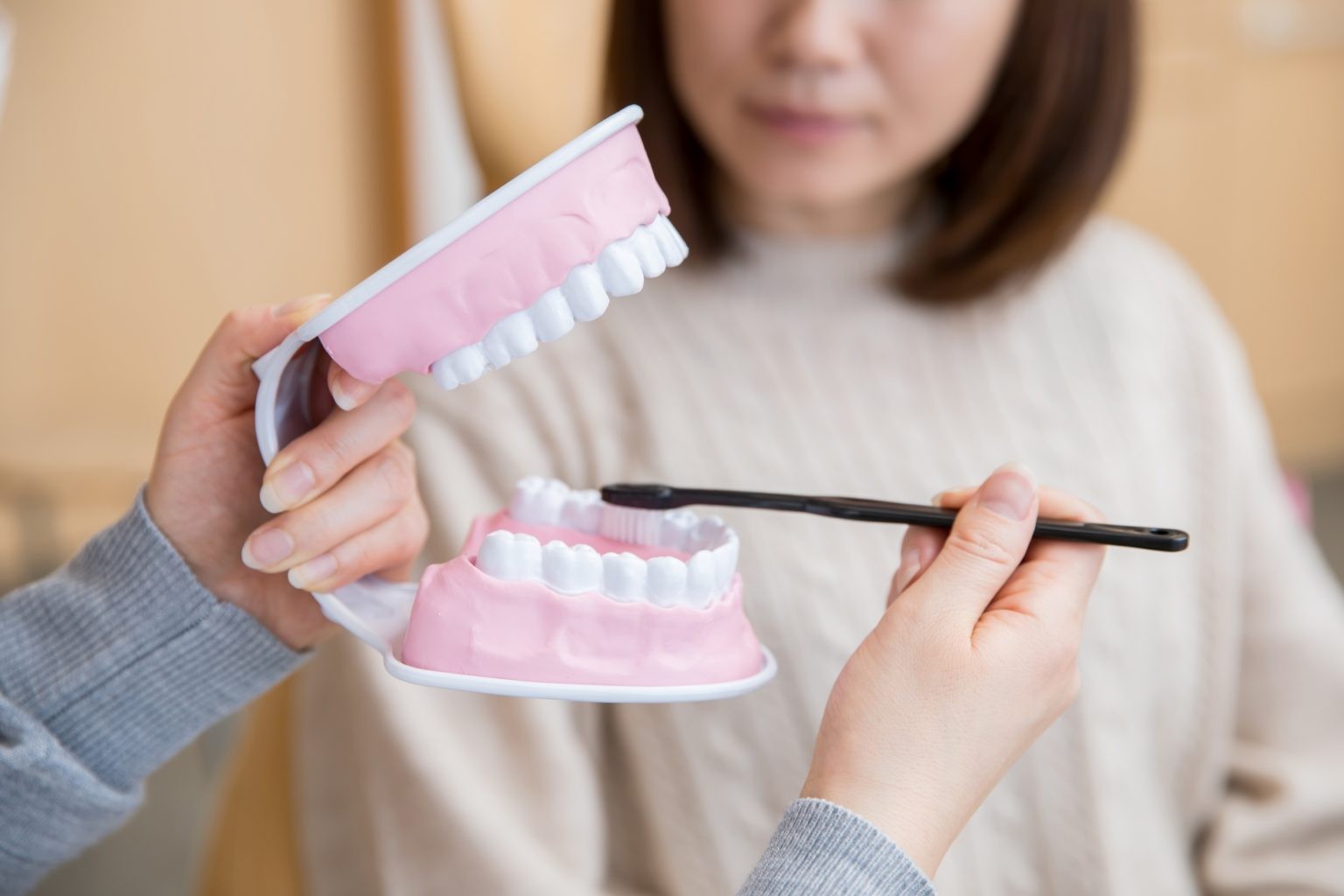 定期検診をご活用下さい