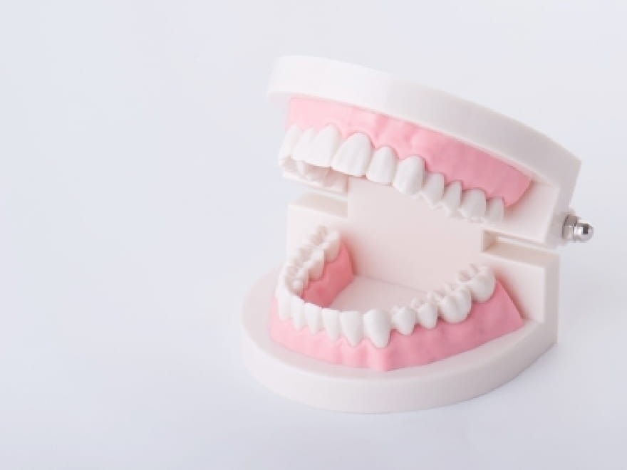 装着後の違和感や噛み心地にも配慮しながら、丁寧な調整を行っています