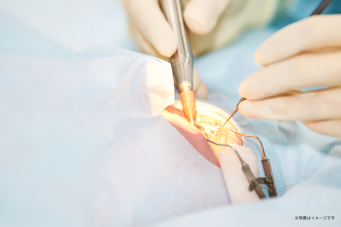 患者様が安心して治療に臨める体制が整えられています