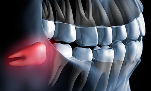 ※画像はイメージです。