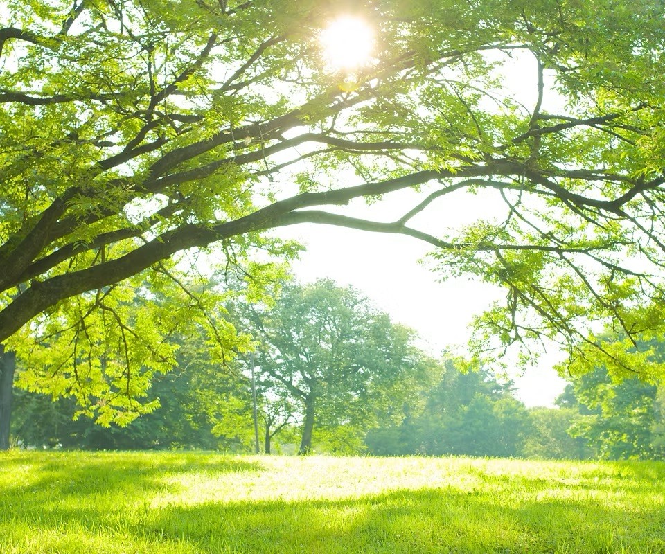 早めの受診をおすすめします