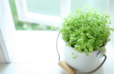 患者さんと永くお付き合いできるようサポートを致します