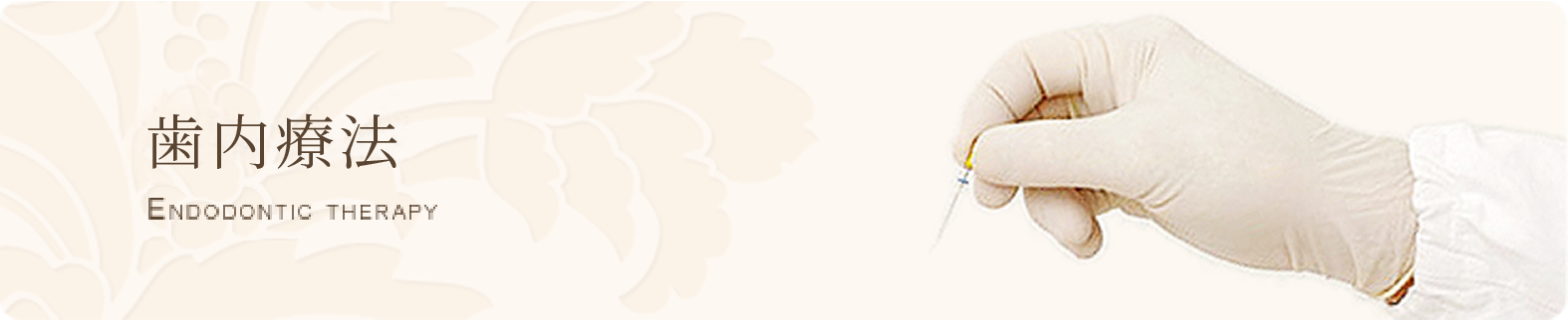 虫歯が進行して歯の神経に達した場合や、根の先に炎症が発生した際に行う治療です