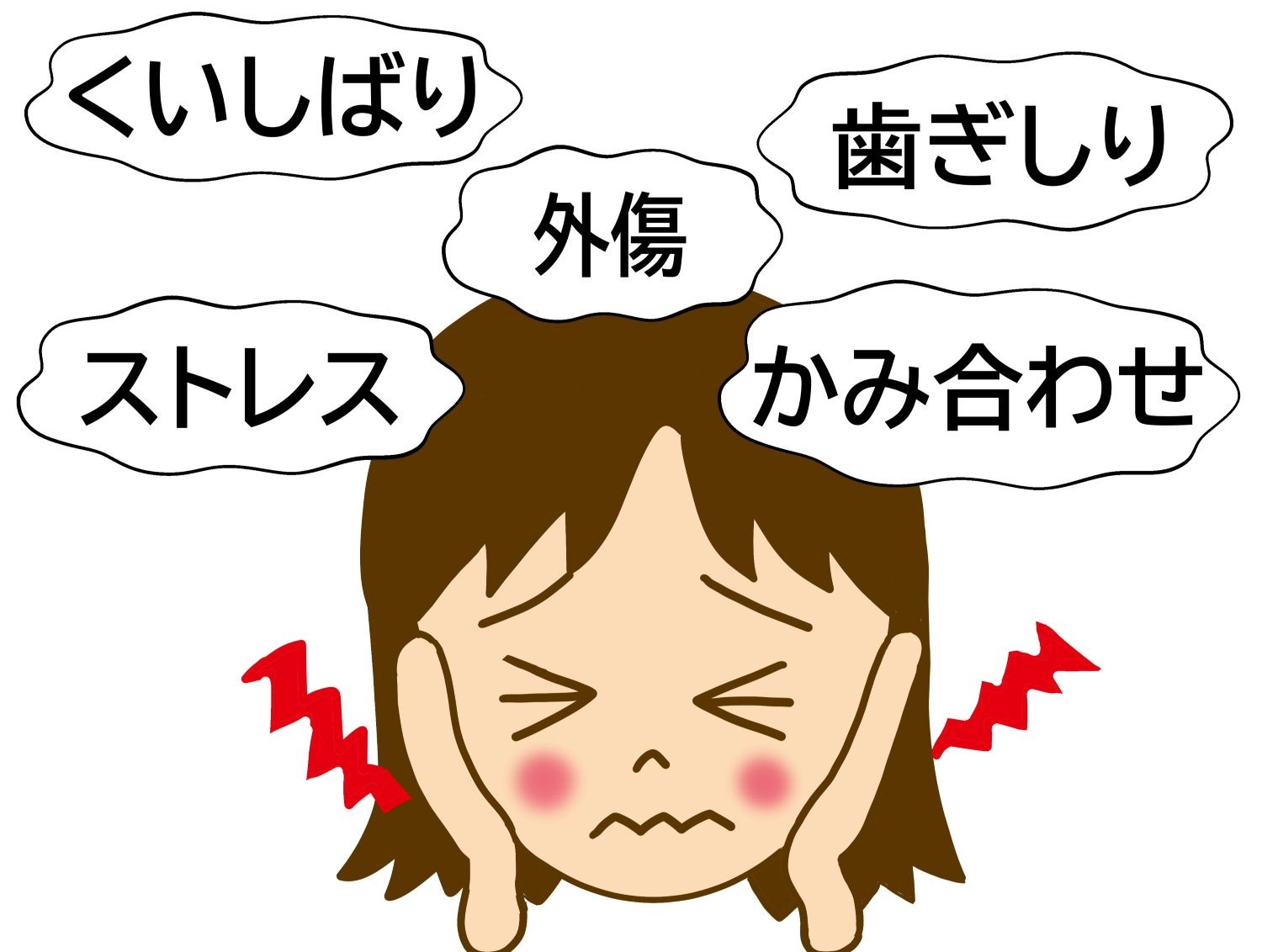 写真はイメージです