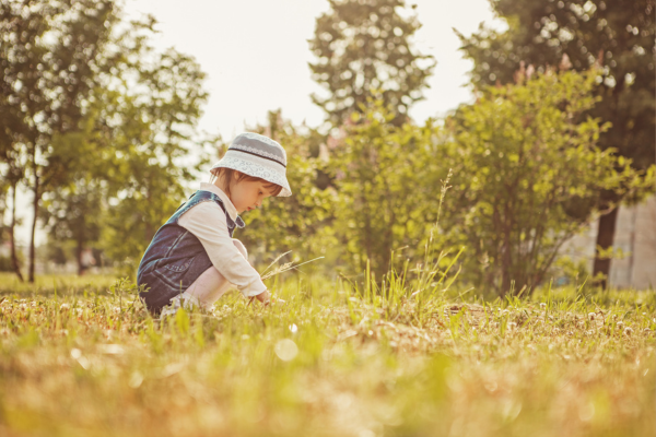 ※画像はイメージです