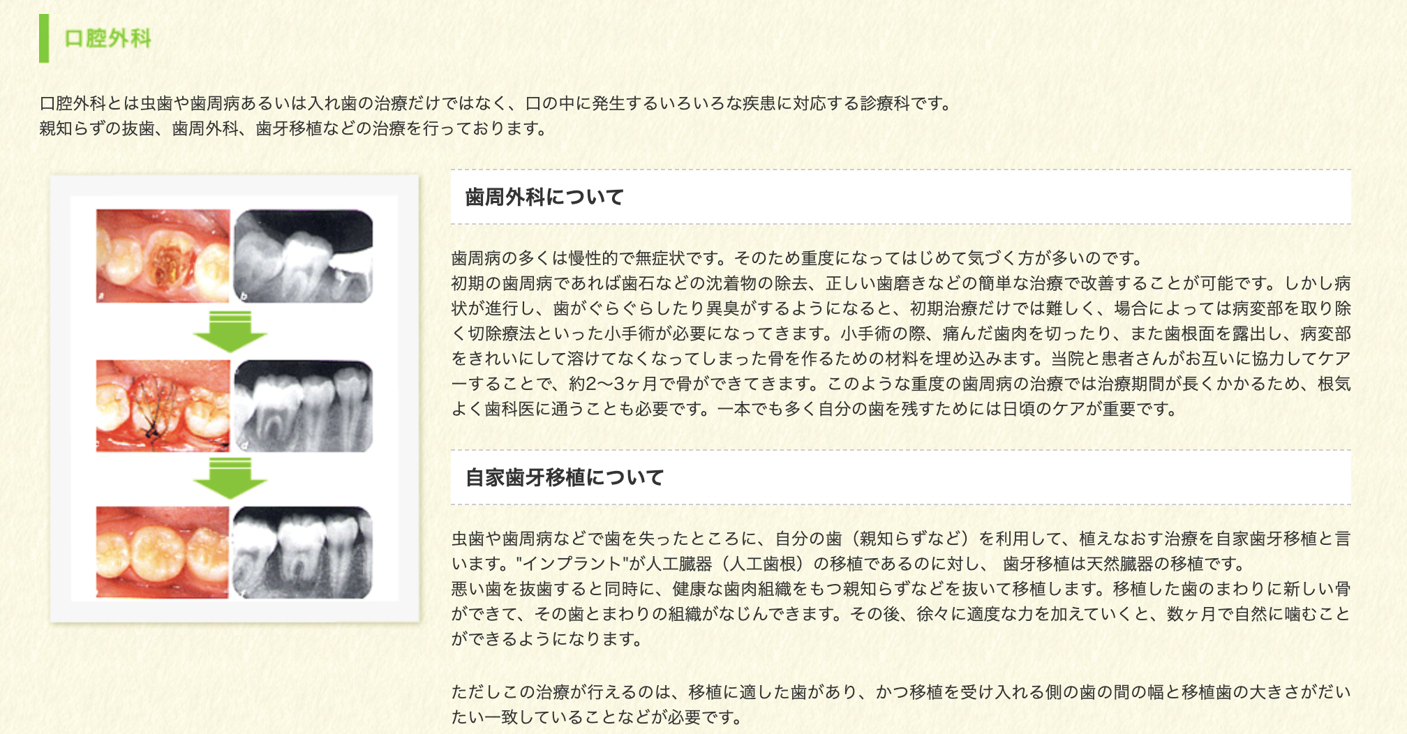 患者様のお口の状態に合わせた丁寧な治療を心がけ、さまざまな疾患や症例に対応しています