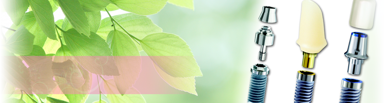 歯の機能回復と審美性の両立を重視したインプラント治療が行われています