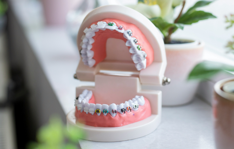 未来の歯の健康を守る