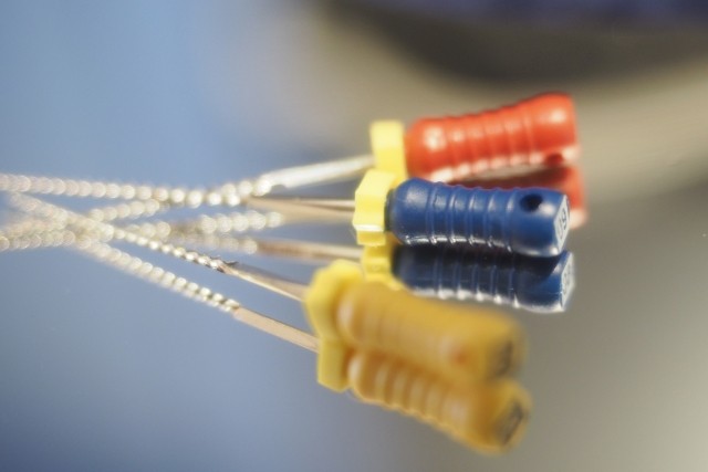 写真はイメージです