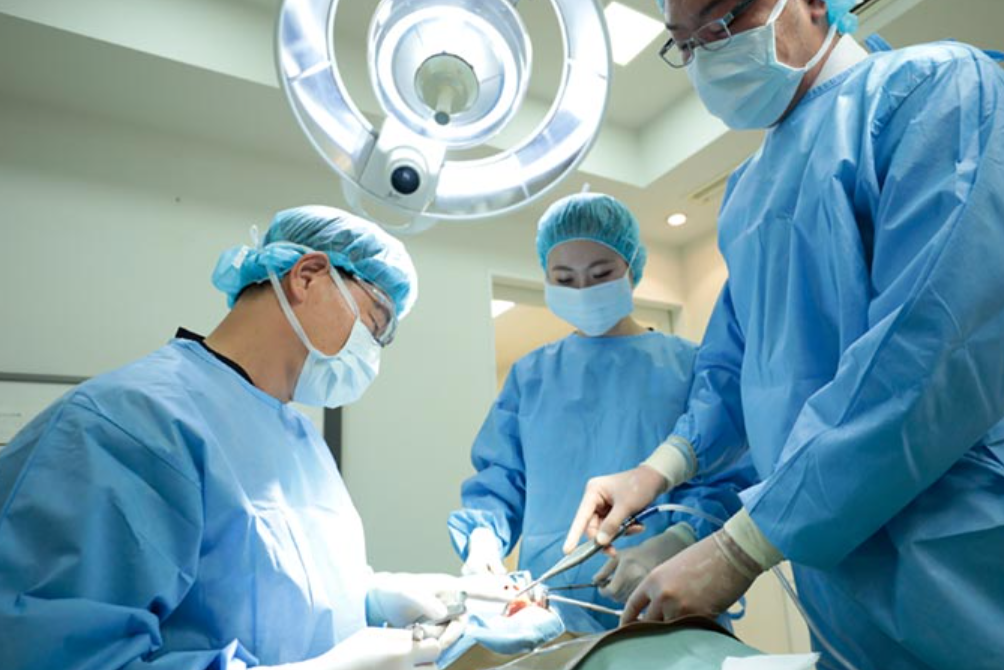 機能性と審美性を追求し、自然で美しい口元を実現します