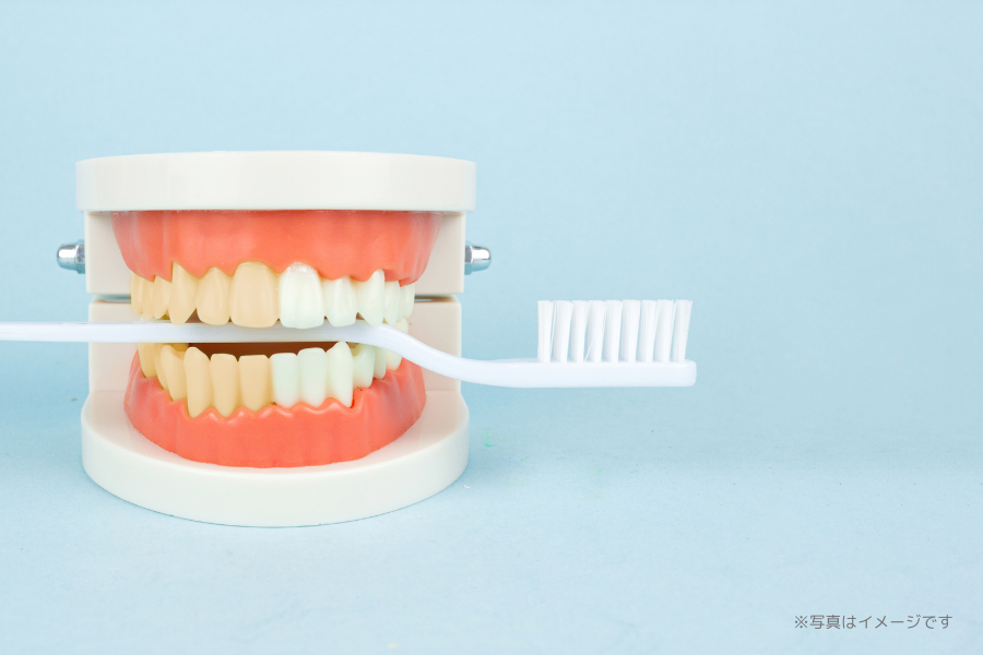 【さくら夙川駅 徒歩3分】【マイクロスコープ対応】予防ケアから小児矯正まで幅広く対応する末武歯科医院