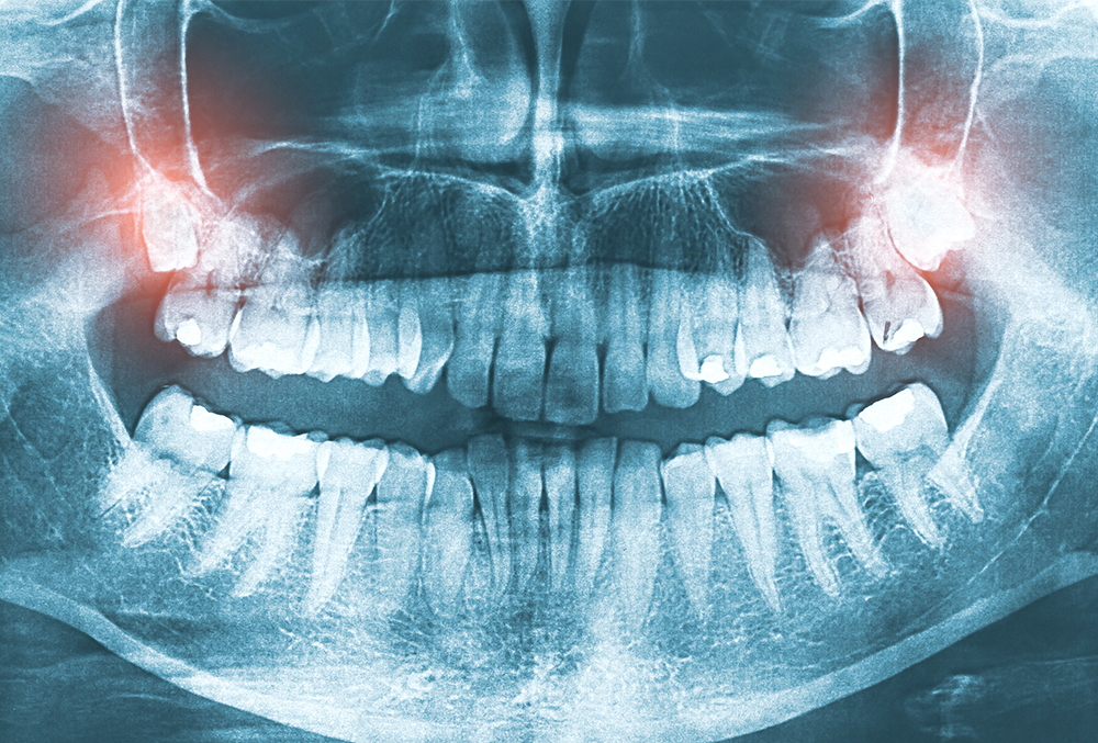 健康なお口の維持・向上に貢献