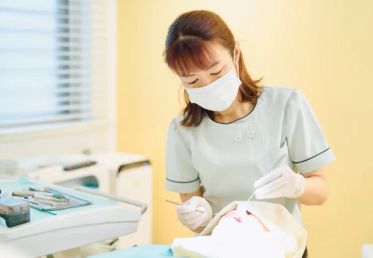 予防対策・メインテナンスを行っています