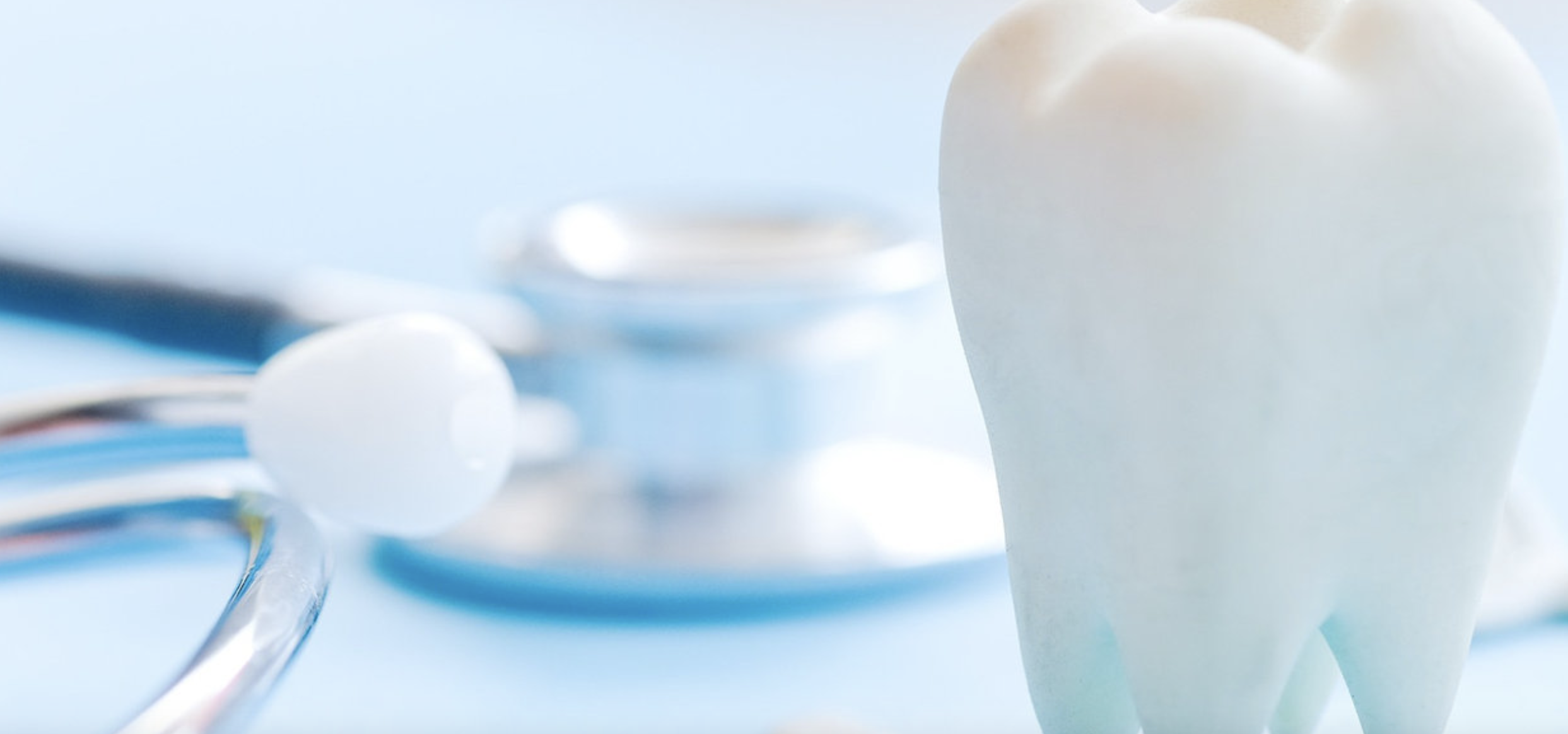 虫歯や歯周病などの一般歯科診療に注力しています