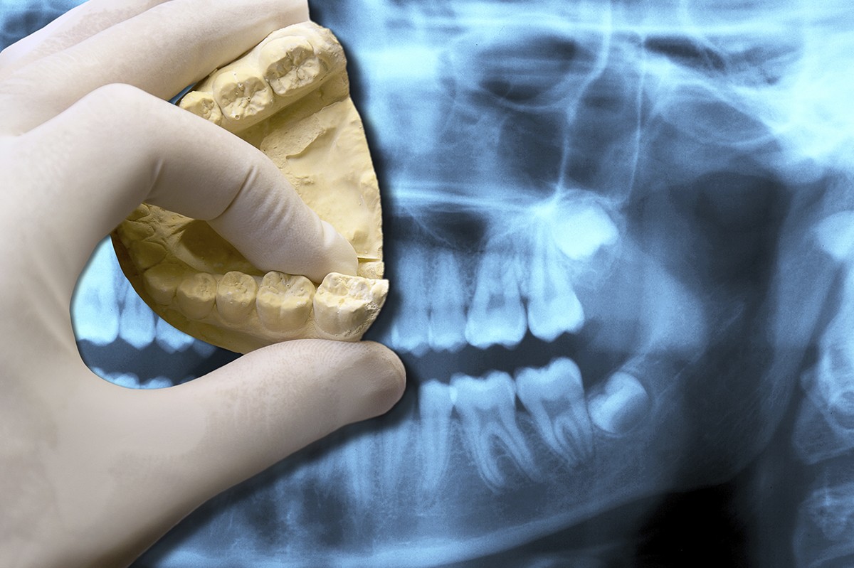 ※画像はイメージです。