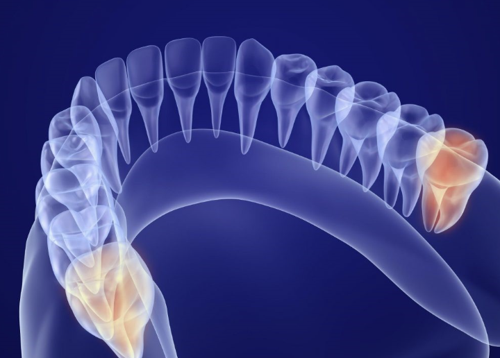 個々の状態を丁寧に診査し、最適な治療方針をご提案しています