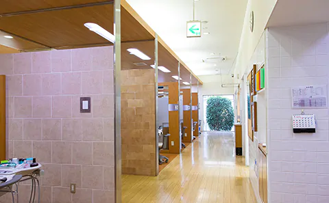 【口腔外科指導医 在籍】【矯正歯科指導医 在籍】土日診療に対応し、専門医連携で矯正から口腔がん検診まで行うホワイト歯科 戸島