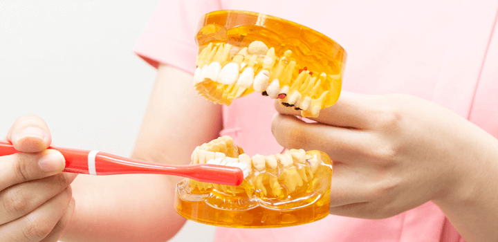 むし歯・歯周病になりにくい口内環境をつくる