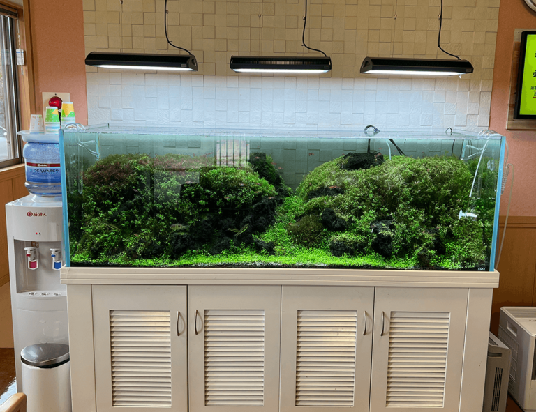 親知らずや外傷治療も安心、安全な施術で対応