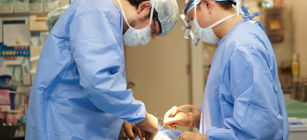 口腔外科手術の様子