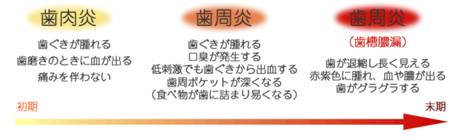 歯を失う原因の第一位は「歯周病」です