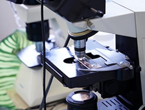 症状の背景にある原因まで丁寧に確認することを大切にしています。