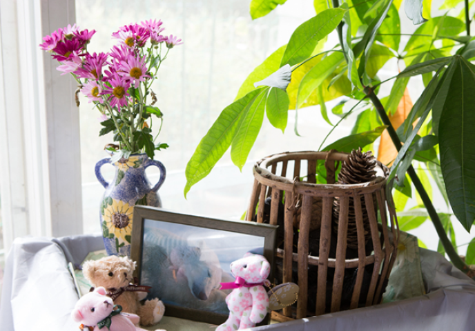 むし歯予防から歯並びのケアまで