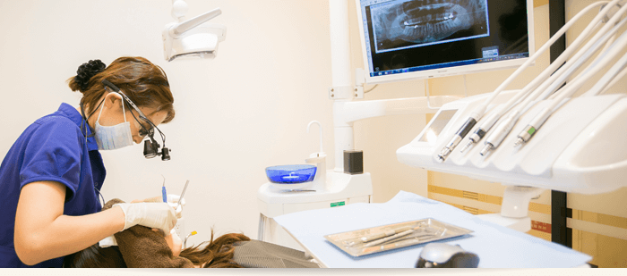 虫歯や歯周病の発症を未然に防ぐため、予防歯科に力を入れています