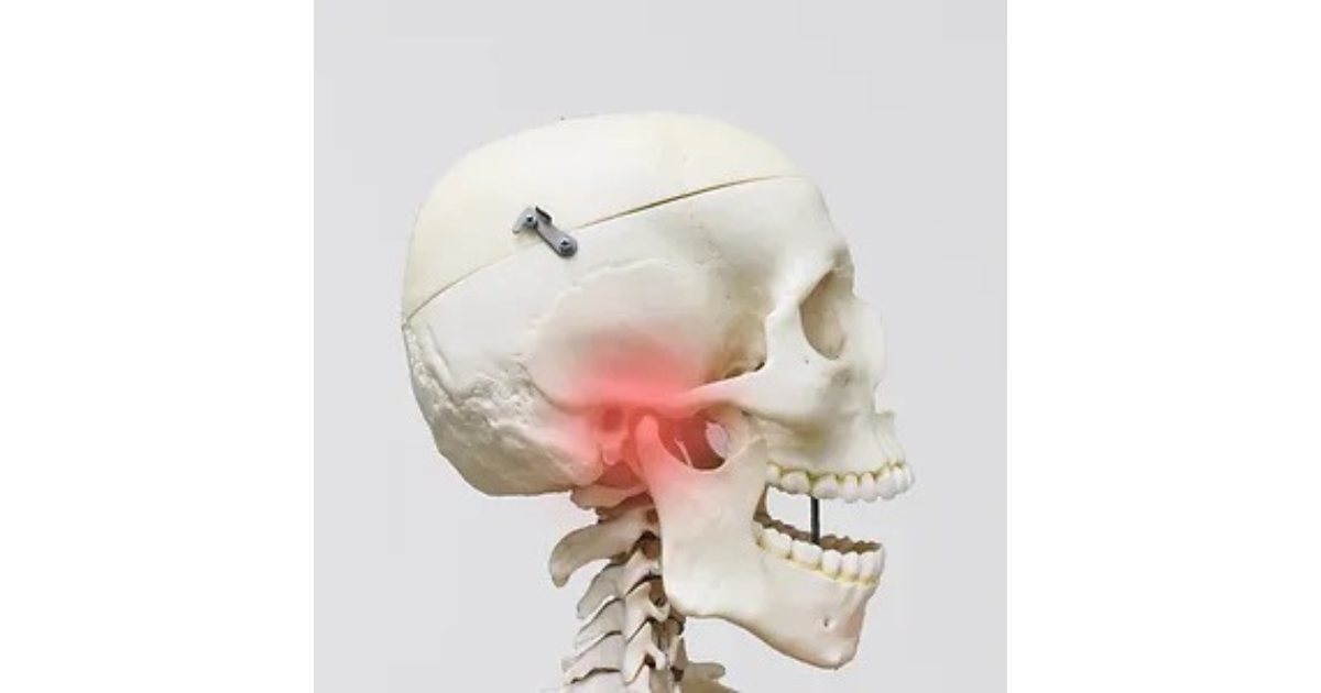 一人ひとりに合わせたかみ合わせ治療を提供