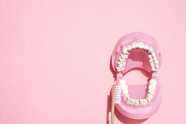 ※画像はイメージです