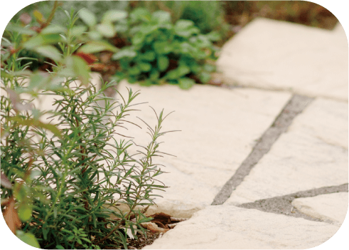 癒されるガーデンを整えています