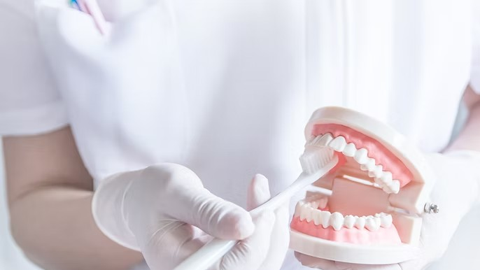 画像はイメージです