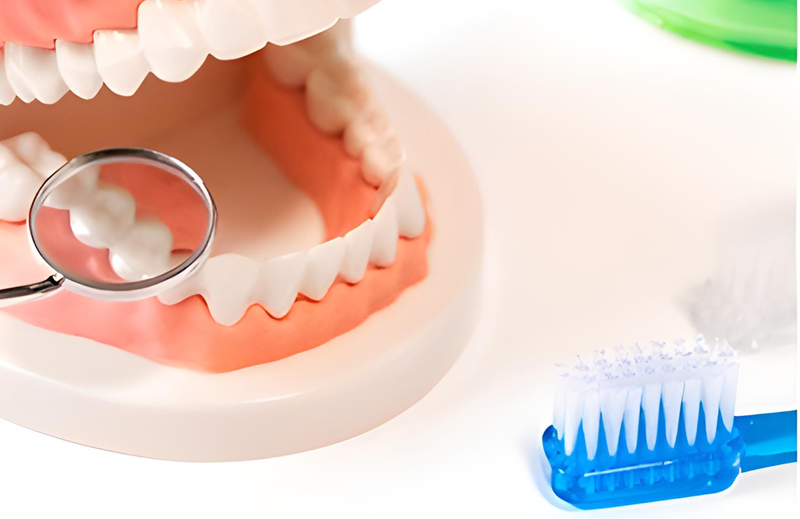 定期検診とセルフケア指導で虫歯・歯周病を未然に防止